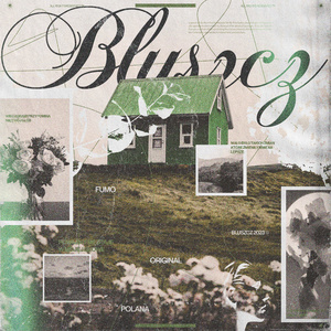 Bluszcz