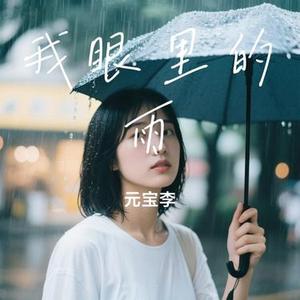 我眼里的雨 (元宝李 Remix)