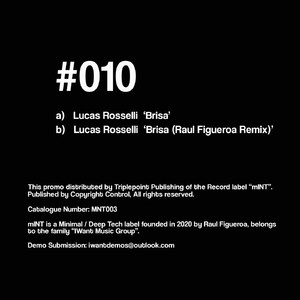 Brisa (Raul Figueroa Remix)