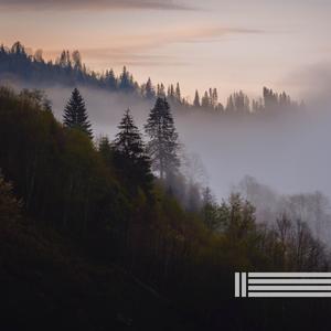 森林（可循环）