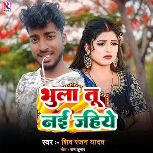 Bhula Too Naai Jahiye
