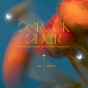 Gerçek Gider (Speed up)