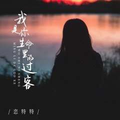 我是你生命里的过客