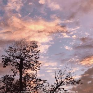 至此流年各天涯（我不理智）