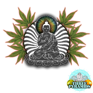 Pretty Baked (Original Mix)