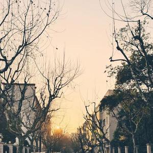 贝加尔湖畔（翻自 李健）