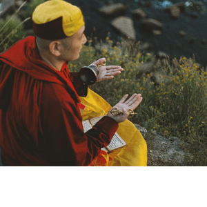 Paz Paz Conteplation