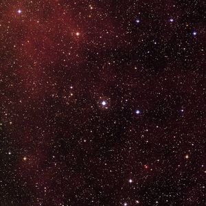 失落的时候别忘了还有月亮