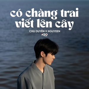 Có Chàng Trai Viết Lên Cây (Lofi)