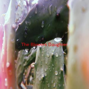 The Blower's Daughter (Complete version originally performed by Damien Rice)