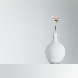 令人着迷