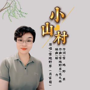 小山村-雪地野草