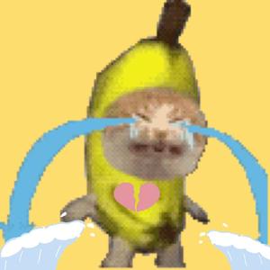 香蕉猫怎么又哭了