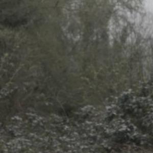 sometimes nothing is wrong and your brain is just fried