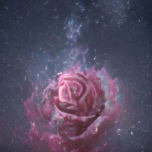 爱，宇宙，玫瑰花