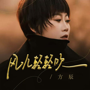 风儿轻轻吹 (DJ默涵版)