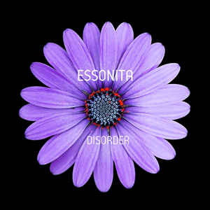 Disorder (Original Mix)