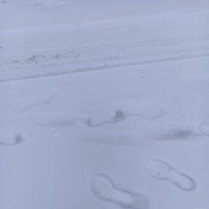 肆意自渡