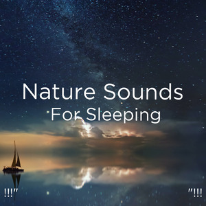 수면을위한 바다의 소리