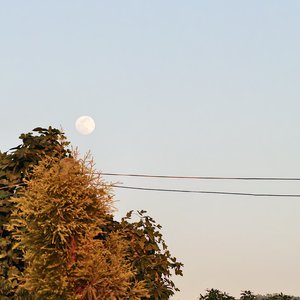 三个年
