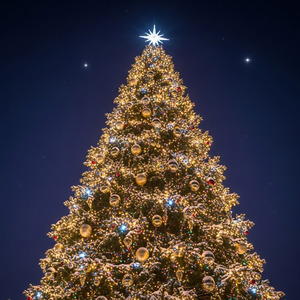 クリスマスの奇跡