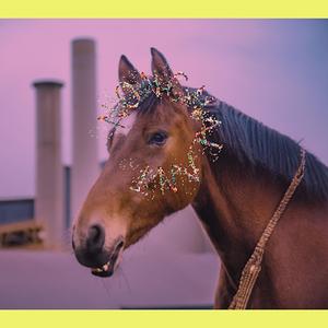 The Dark Horse/Kwyjibo