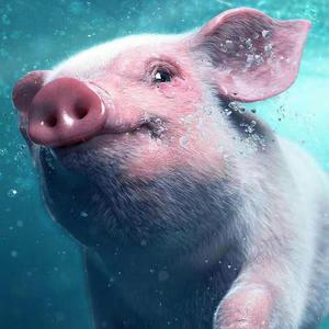 我在马路边捡到一分钱