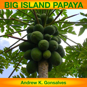 Big Island Papaya (Nā Papaia O Hawaiʻi)