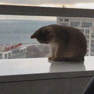 not enough (feat. she left me today)