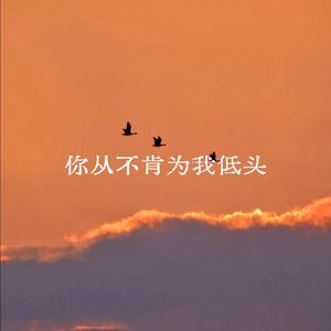 你从不肯为我低头