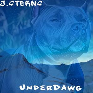 UnderDawg