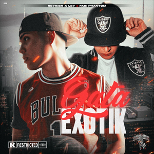 Gata Exotik