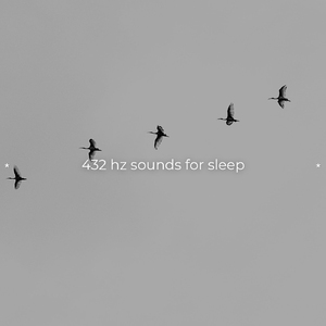 White Noise Black Screen