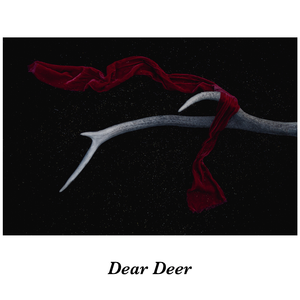 Dear Deer