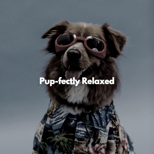 Superlative Latin Guitar - Vibe for Serious Thoughts