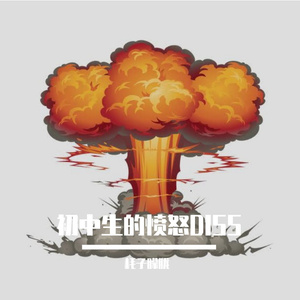 初中生的愤怒(Prod by $tan)