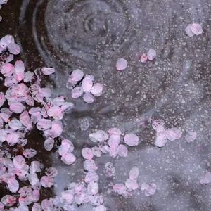 山外小楼夜听雨