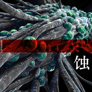 Superficial以蠡测海