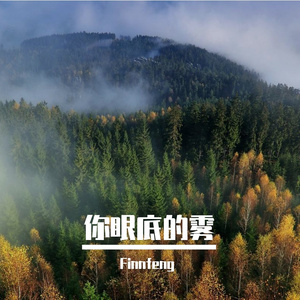 你眼底的雾