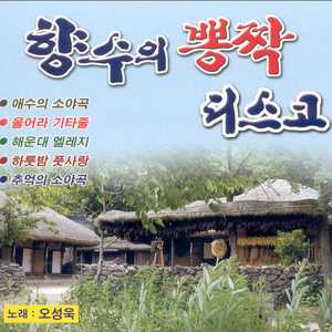 홍도야 울지마라