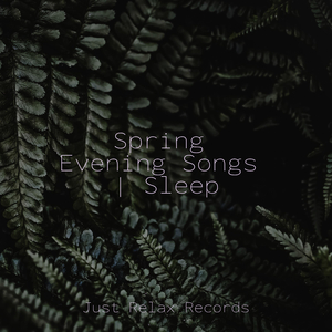 Tranquil Heights Ahead