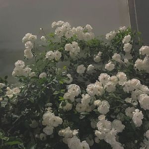 我们的结局还是没有例外（Prod by Dawn）