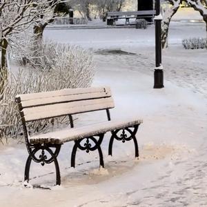 认真的雪（R&B）