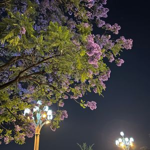 第57次取消发送