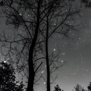 你说过的永远已尽头