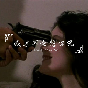 我才不会再想你呢