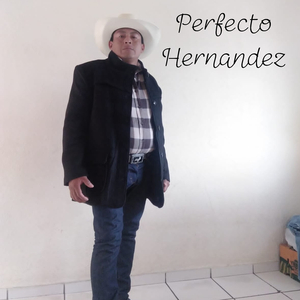 Perfecto Hernández