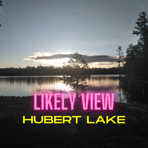 Likely View