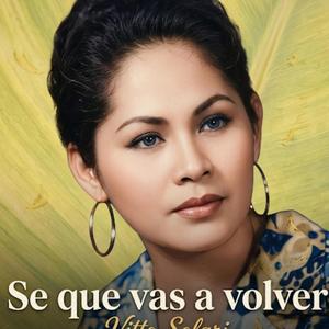 Se que vas a volver letra de Victor Aníbal perochena solari