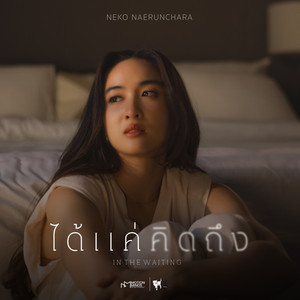 ได้แค่คิดถึง (เพลงประกอบซีรีส์ Roller Coaster the Sereis รักขบวนนี้หัวใจเกือบวาย)